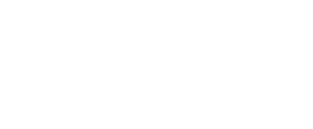 camion camion